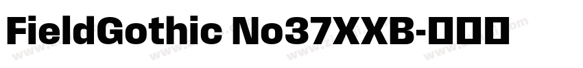 FieldGothic No37XXB字体转换